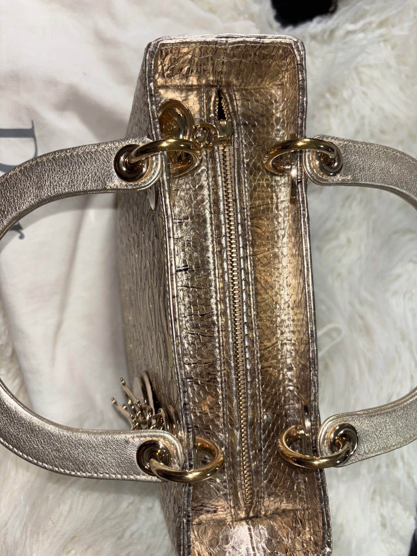 Rare Medium Python Leather “Lady Dior”